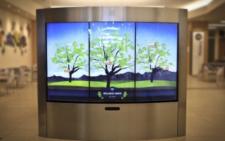 KAISER PERMANENTE: Interactive Touchscreen Kiosk